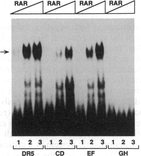 graphic file with name pnas01090-0355-a.jpg