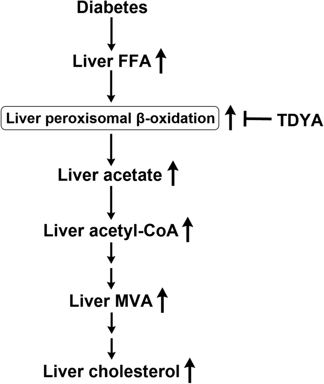 Figure 7