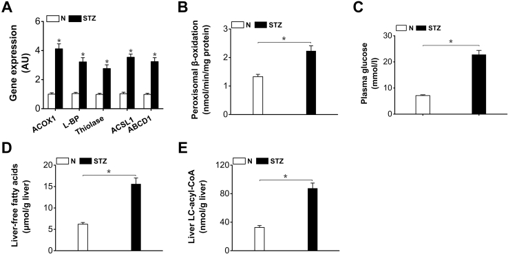 Figure 1