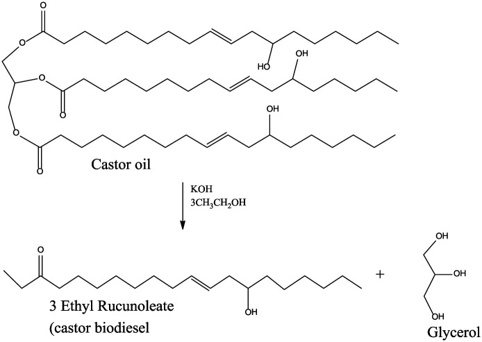 Figure 10.