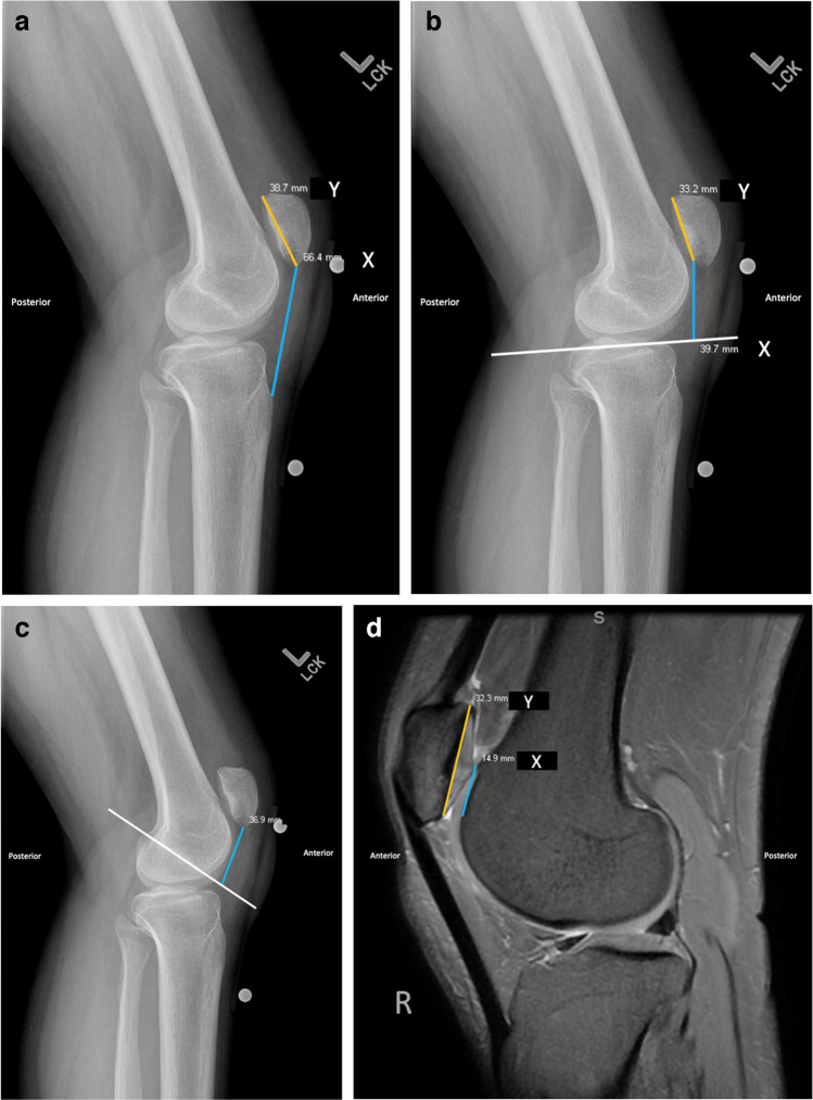 Fig. 3