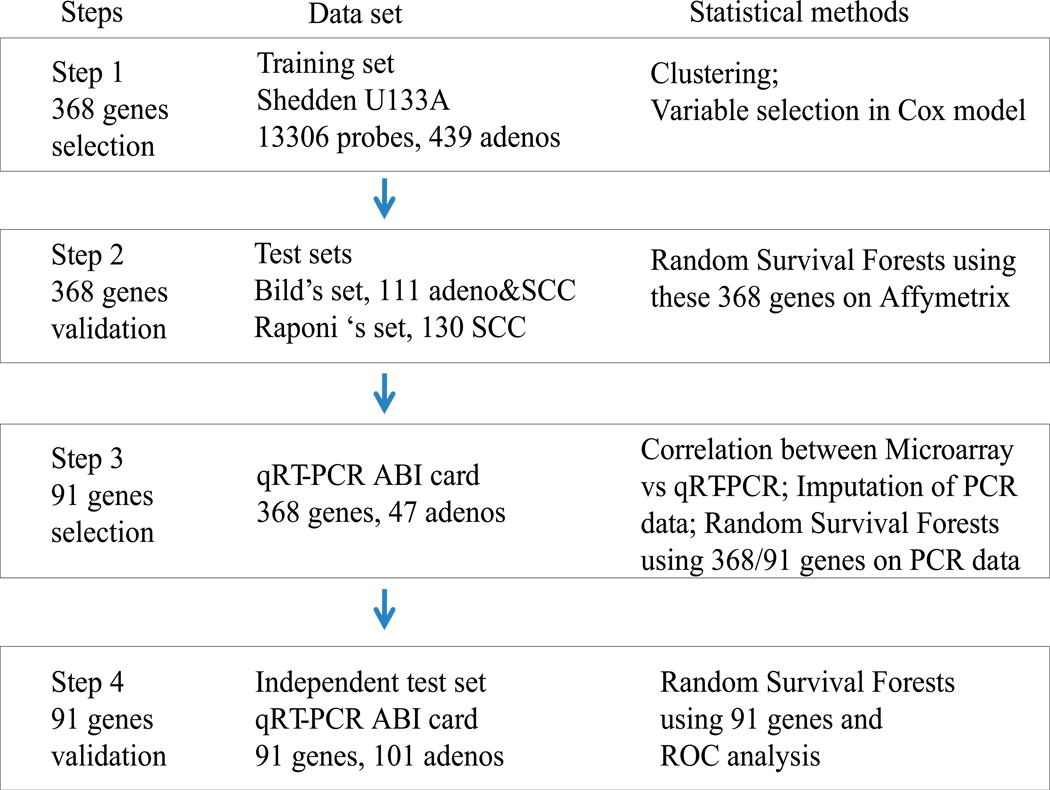 FIGURE 1