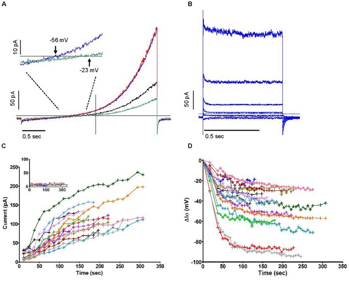 FIGURE 2