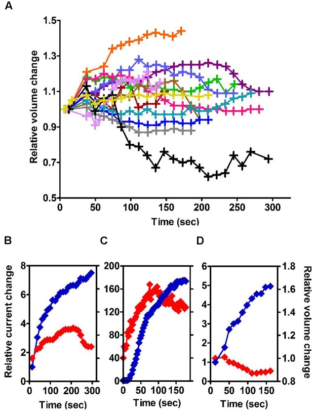 FIGURE 3