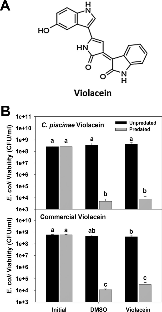 FIG 2 