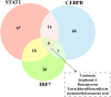 Fig 7