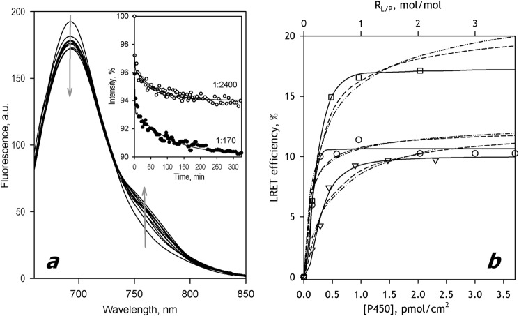 FIGURE 4.