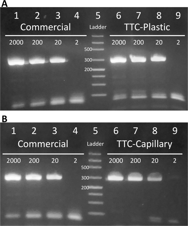 Fig 8