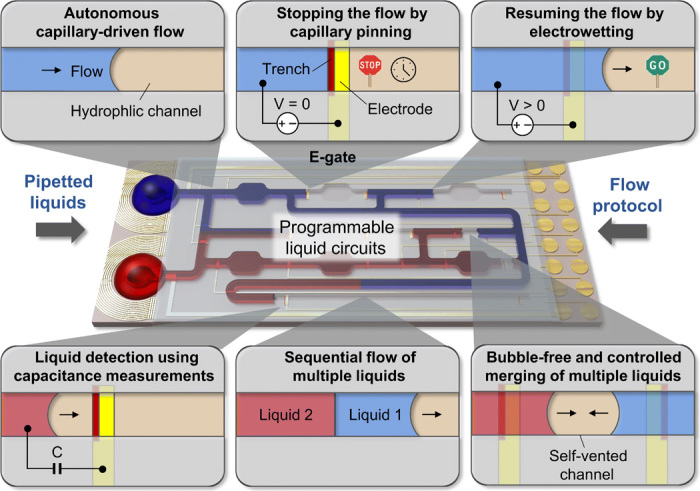 Fig. 1