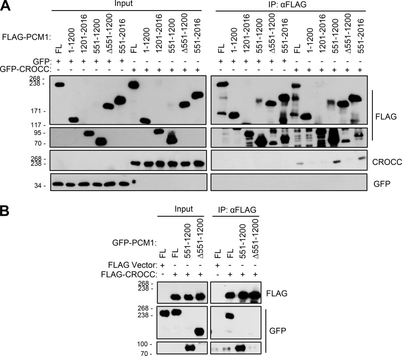 Figure 9.