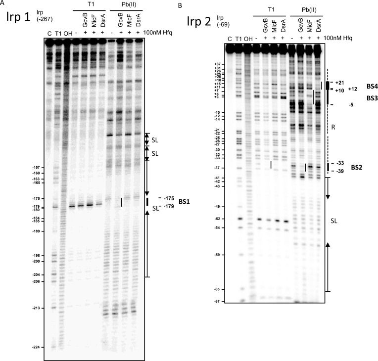 Figure 5.