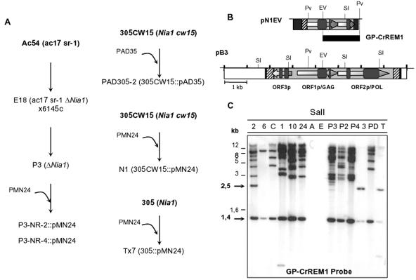 FIG. 6.