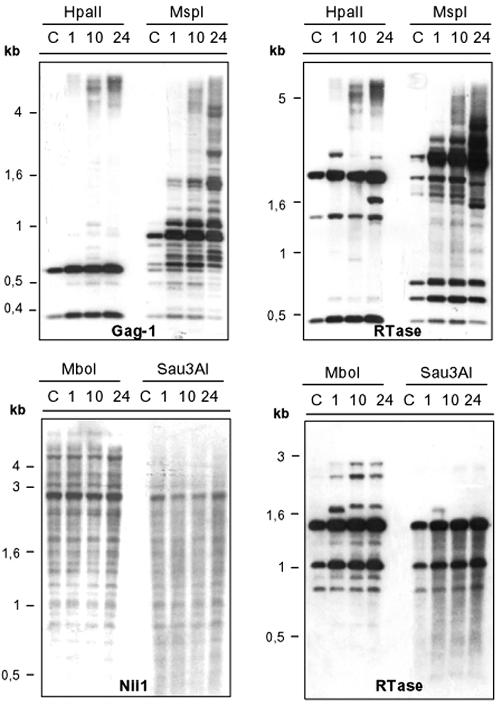 FIG. 7.