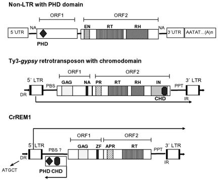 FIG. 9.