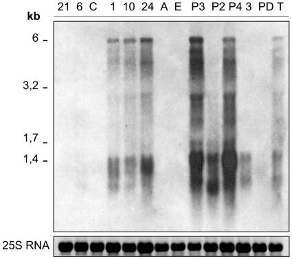 FIG. 8.