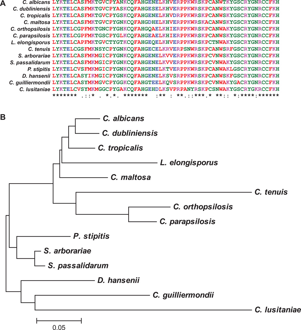 Fig. 6