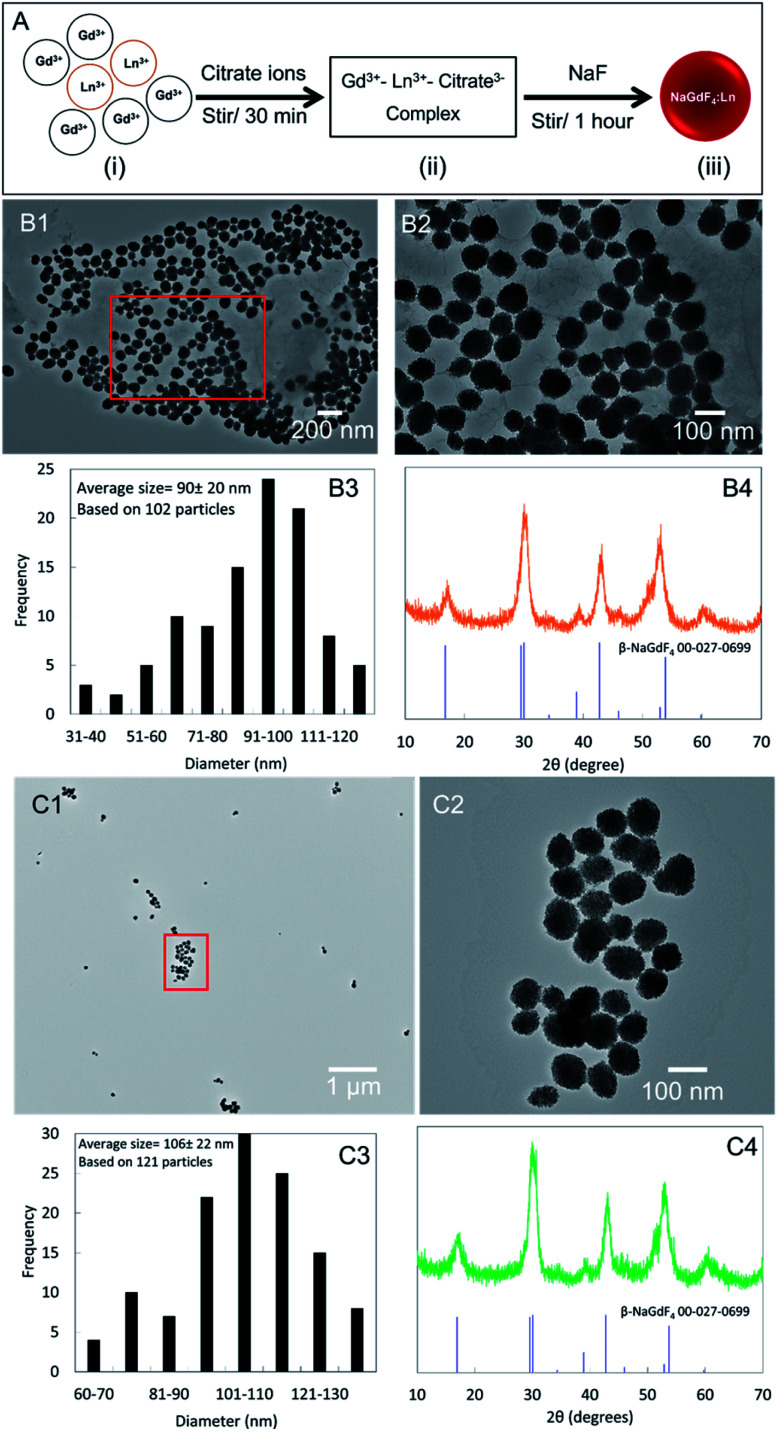 Fig. 1