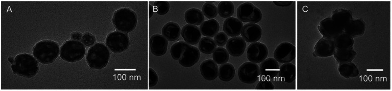 Fig. 10