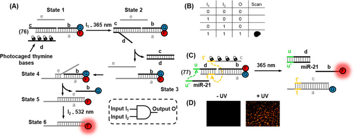 Figure 27