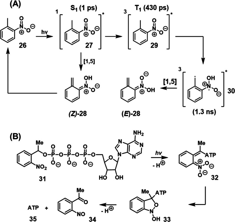 Scheme 3