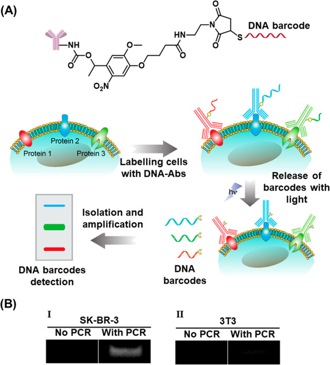 Figure 40