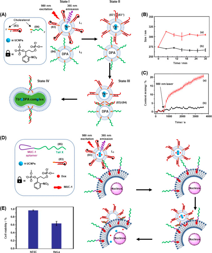 Figure 29