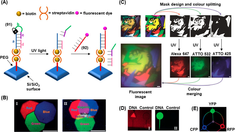 Figure 31