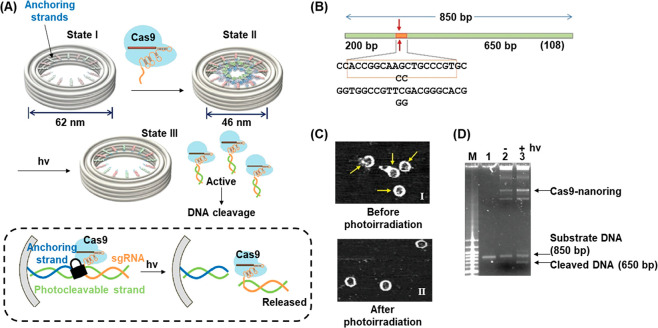 Figure 37