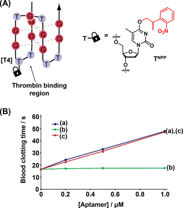 Figure 21