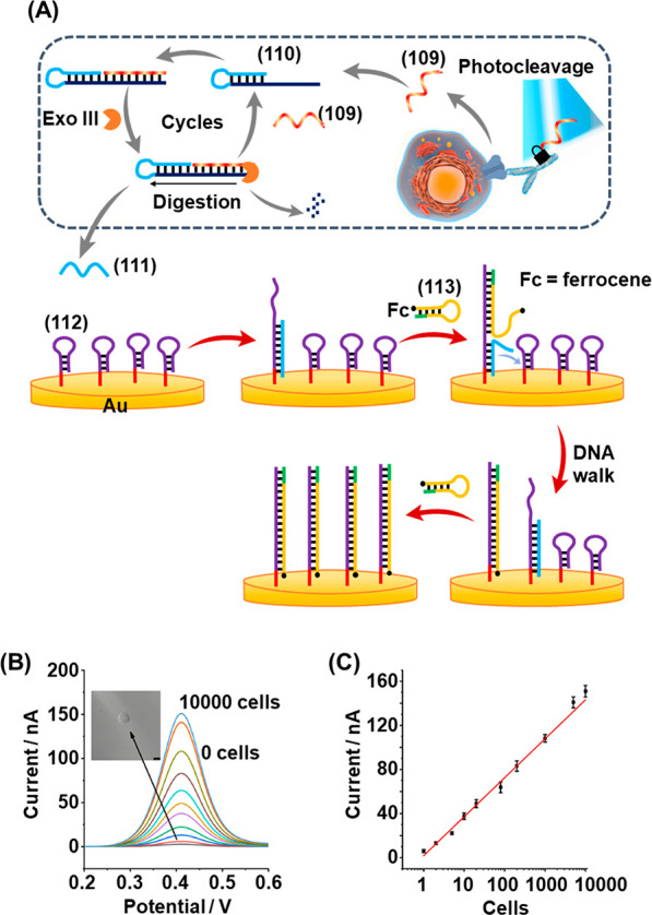 Figure 41