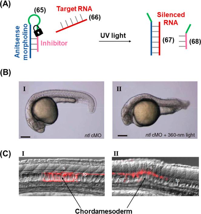 Figure 18