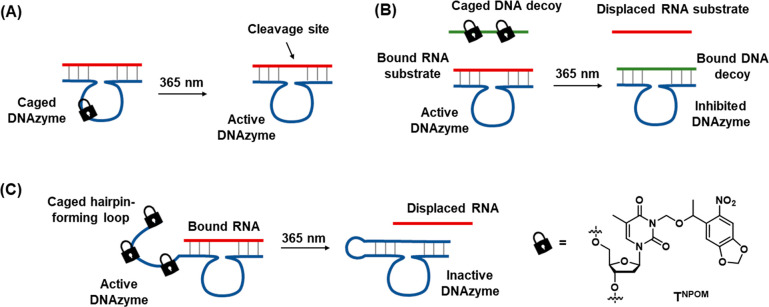 Figure 25