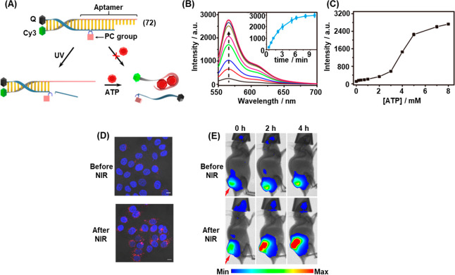 Figure 23