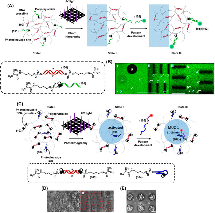 Figure 34