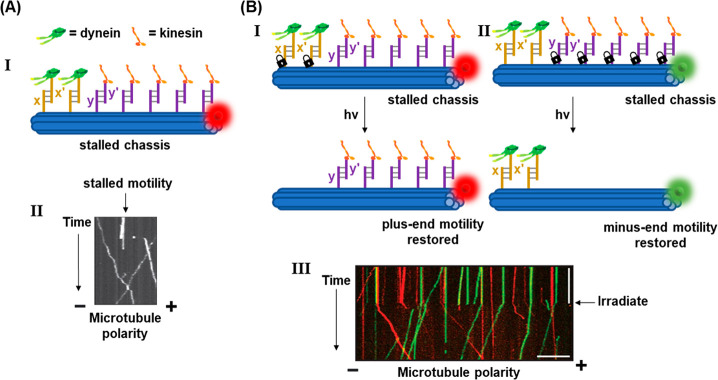 Figure 39