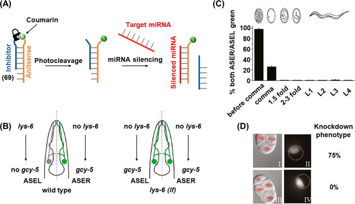 Figure 20