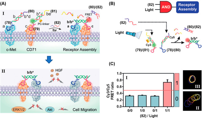 Figure 28