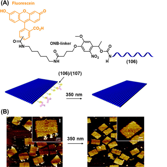 Figure 36