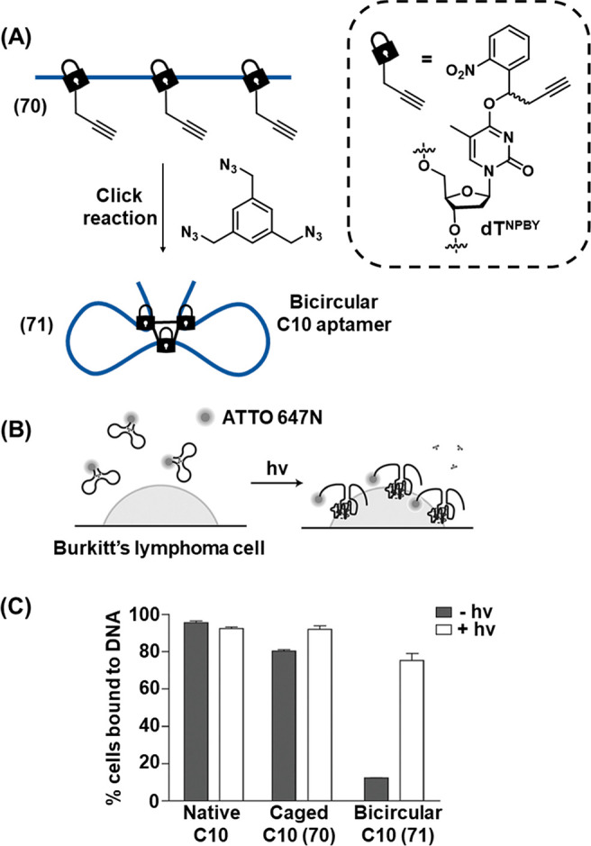 Figure 22