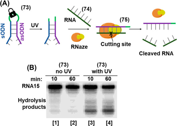 Figure 26