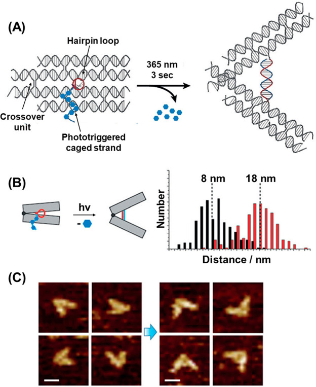 Figure 35