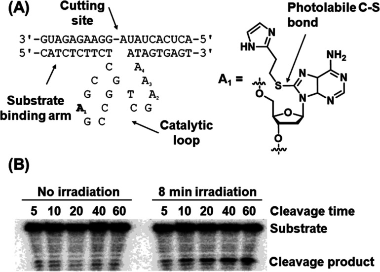 Figure 24