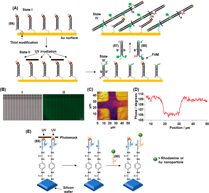 Figure 30