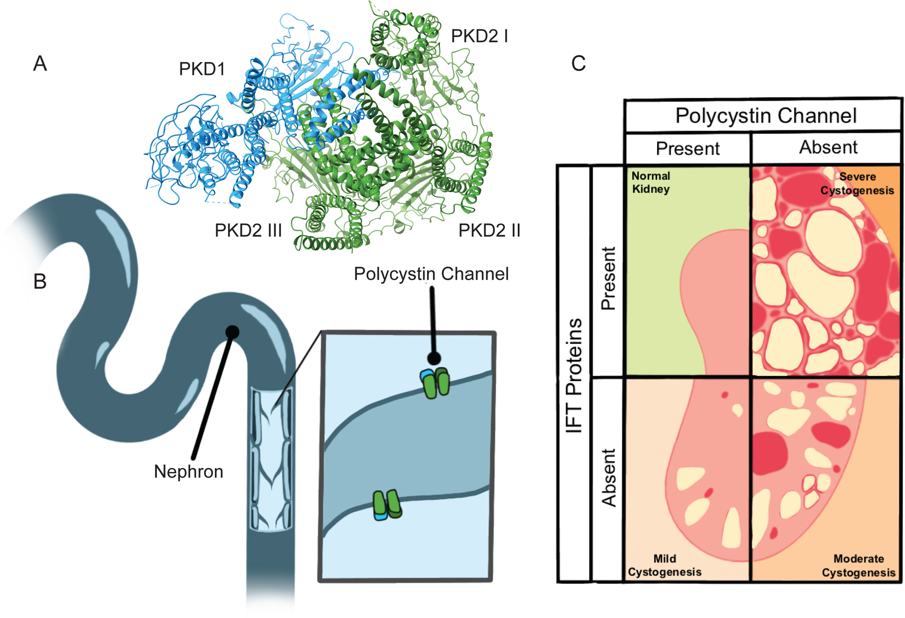 Figure 3 –