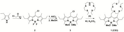 Fig. 1.