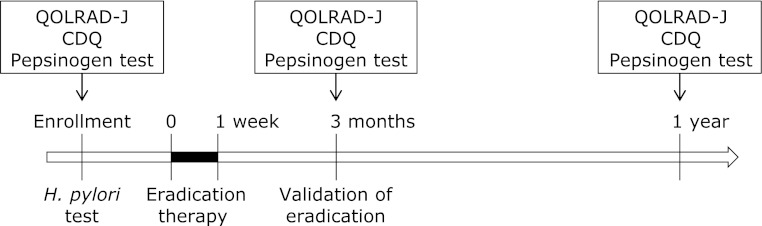 Fig. 1