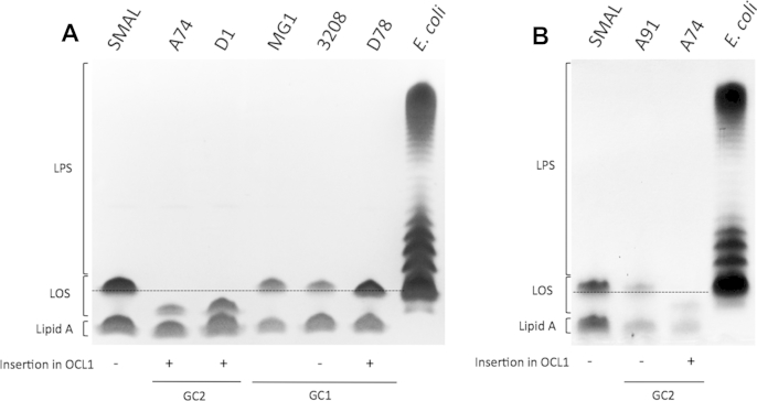 Fig. 2