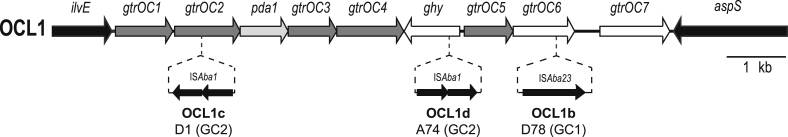 Fig. 1