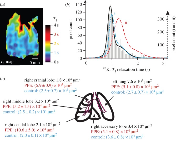 Figure 6.