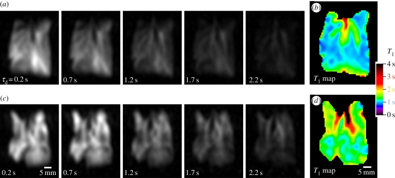 Figure 2.